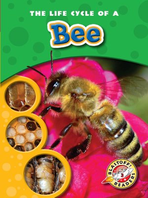 cover image of The Life Cycle of a Bee